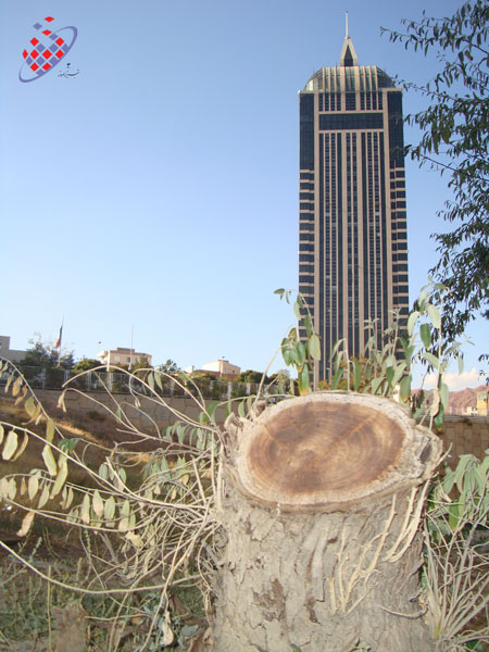 برج و باغ